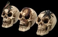 Totenkopf 3er Set - Spinne Skorpion Tausendfüssler -FIGUREN Verkäufe 2D FS25697 Totenkopf 3er Set Spinne Skorpion Tausendf ssler 2 1280x1280