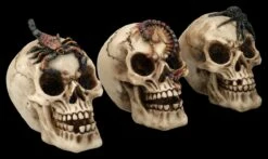 Totenkopf 3er Set - Spinne Skorpion Tausendfüssler -FIGUREN Verkäufe 2D FS25697 Totenkopf 3er Set Spinne Skorpion Tausendf ssler 3 1280x1280