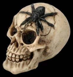 Totenkopf 3er Set - Spinne Skorpion Tausendfüssler -FIGUREN Verkäufe 2D FS25697 Totenkopf 3er Set Spinne Skorpion Tausendf ssler 5 1280x1280