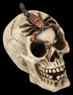 Totenkopf 3er Set - Spinne Skorpion Tausendfüssler -FIGUREN Verkäufe 2D FS25697 Totenkopf 3er Set Spinne Skorpion Tausendf ssler 6 1280x1280