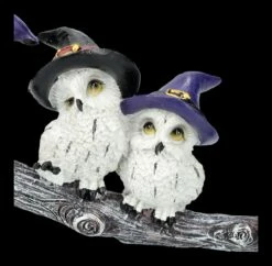 Lustige Eulen Figuren Auf Hexenbesen 17 Lustige Eulen Figuren Auf Hexenbesen -FIGUREN Verkäufe 2D FS25718 Lustige Eulen spielen auf Hexenbesen 3 1280x1280