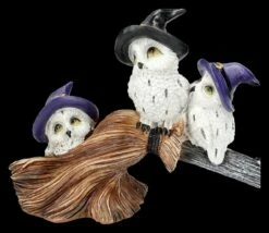 Lustige Eulen Figuren Auf Hexenbesen 16 Lustige Eulen Figuren Auf Hexenbesen -FIGUREN Verkäufe 2D FS25718 Lustige Eulen spielen auf Hexenbesen 4 1280x1280