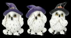 Eulenfiguren 3er Set - Schneeeulen Nichts Böses
