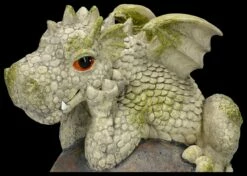 Garten Figur - Drache Als Zaunhänger 17 Garten Figur - Drache Als Zaunhänger -FIGUREN Verkäufe 2D FS26152 Garten Figur Drache als Zaunh nger 2 1280x1280