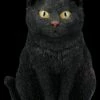 Katzenfigur - Schwarzer Kater 1 Katzenfigur - Schwarzer Kater -FIGUREN Verkäufe 2D FS26284 Katzenfigur Schwarzer Kater 1 1280x1280