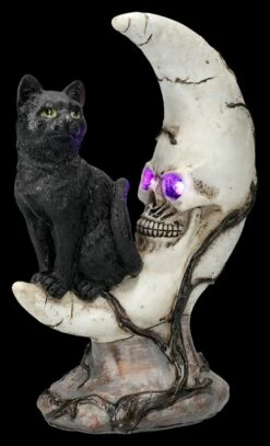 Totenkopf Mond Mit Katze LED -FIGUREN Verkäufe 2D FS26330 Totenkopf Mond mit Katze LED 3 1280x1280