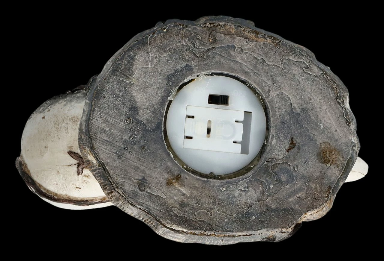 Totenkopf Mond Mit Rabe LED 11 Totenkopf Mond Mit Rabe LED – Bild 9