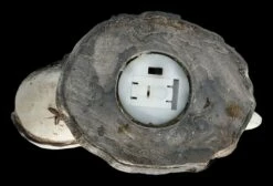 Totenkopf Mond Mit Eule LED -FIGUREN Verkäufe 2D FS26331 Totenkopf Mond mit Eule LED 10x8LKtyTWT0LwY 1280x1280