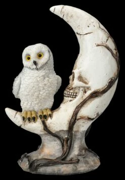 Totenkopf Mond Mit Eule LED