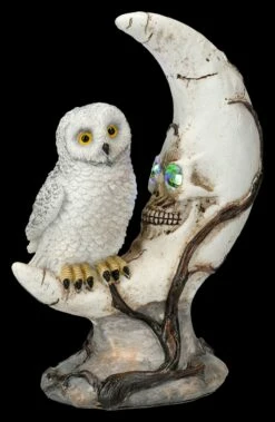 Totenkopf Mond Mit Eule LED -FIGUREN Verkäufe 2D FS26331 Totenkopf Mond mit Eule LED 3 1280x1280