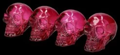 Totenkopf Figuren 4er Set - Bordeaux Durchsichtig -FIGUREN Verkäufe 2D FS26516 Totenkopf Figur 4er Set Bordeaux durchsichtig 3 1280x1280