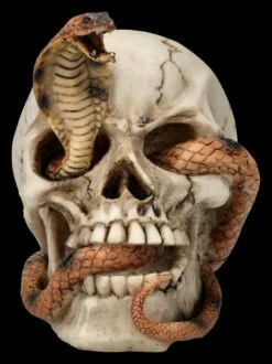 Totenkopf Figur - Kobra Schädel -FIGUREN Verkäufe 2D FS26522 Totenkopf Figur Kobra Sch del 1 1280x1280