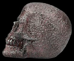 Totenkopf Figur - Rostiger Schädel 12 Totenkopf Figur - Rostiger Schädel -FIGUREN Verkäufe 2D FS26681 Totenkopf Figur Rostiger Schadel 2 1280x1280