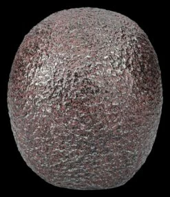 Totenkopf Figur - Rostiger Schädel 13 Totenkopf Figur - Rostiger Schädel -FIGUREN Verkäufe 2D FS26681 Totenkopf Figur Rostiger Schadel 3 1280x1280