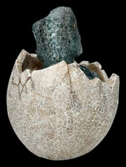 Dinosaurier Figur Schlüpft Aus Ei - Raptors Birth 14 Dinosaurier Figur Schlüpft Aus Ei - Raptors Birth -FIGUREN Verkäufe 2D FS26717 Dinosaurier Figur schlupft aus Ei Raptors Birth 4 1280x1280