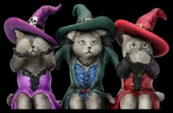 Katzenfigur - Drei Weise Hexenkätzchen 15 Katzenfigur - Drei Weise Hexenkätzchen -FIGUREN Verkäufe 2D FS26726 Katzenfigur Drei weise Hexenkatzchen 7 1280x1280