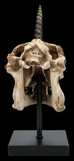 Einhorn Totenkopf Auf Ständer -FIGUREN Verkäufe 2D FS26768 Einhorn Totenkopf auf Stander 4 1280x1280