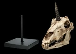 Einhorn Totenkopf Auf Ständer -FIGUREN Verkäufe 2D FS26768 Einhorn Totenkopf auf Stander 7OLVPnrwHO1WI3 1280x1280