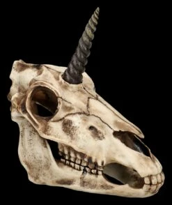 Einhorn Totenkopf Auf Ständer -FIGUREN Verkäufe 2D FS26768 Einhorn Totenkopf auf Stander 8 1280x1280