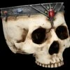Totenkopf Schale Oder Blumentopf - Königlicher Schädel