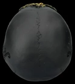 NEMESIS NOW Totenkopf Figur Schwarz-gold - Divine Demise 16 NEMESIS NOW Totenkopf Figur Schwarz-gold - Divine Demise -FIGUREN Verkäufe 2D FS26808 Totenkopf Figur schwarz Gold Divine Demise 3 1280x1280