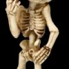 Skelett Figur Zeigt Mittelfinger -FIGUREN Verkäufe 2D FS26870 Skelett Figur zeigt Mittelfinger 6 1280x1280