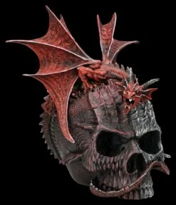 Spiral Drache & Totenkopf Schatulle - Serpent Infection 12 Spiral Drache & Totenkopf Schatulle - Serpent Infection -FIGUREN Verkäufe 2D FS26890 Drache Totenkopf Schatulle Serpent Infection 5 1280x1280