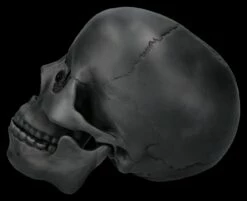 Totenkopf Schwarz - Beweglicher Unterkiefer -FIGUREN Verkäufe 2D FS26931 Totenkopf schwarz Beweglicher Unterkiefer 2 1280x1280