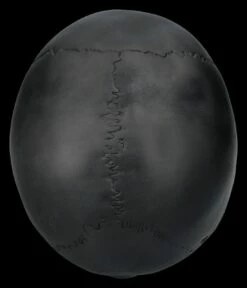 Totenkopf Schwarz - Beweglicher Unterkiefer -FIGUREN Verkäufe 2D FS26931 Totenkopf schwarz Beweglicher Unterkiefer 3 1280x1280