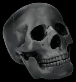 Totenkopf Schwarz - Beweglicher Unterkiefer