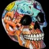 Totenkopf Figur - Graffiti -FIGUREN Verkäufe 2D FS26988 Totenkopf Figur Graffiti 5 1280x1280