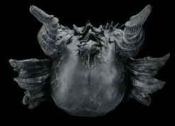 Riesen Drachenschädel Schwarz 13 Riesen Drachenschädel Schwarz -FIGUREN Verkäufe 2D FS27021 Riesen Drachenschadel schwarz 4 1280x1280