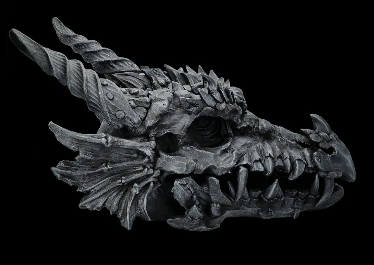 Riesen Drachenschädel Schwarz 3 Riesen Drachenschädel Schwarz