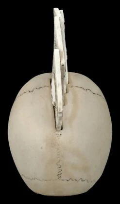 Totenkopf Figur - Pokerkarten - Four Of A Kind 13 Totenkopf Figur - Pokerkarten - Four Of A Kind -FIGUREN Verkäufe 2D FS27047 Totenkopf Figur Pokerkarten Four of a Kind 3 1280x1280