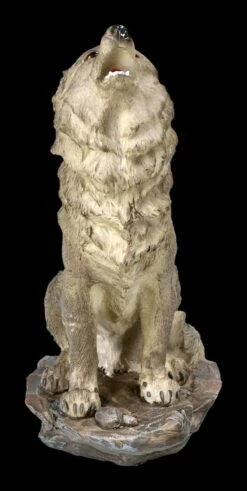Heulende Wolf Figur - Der Ruf Im Sturm Grau 11 Heulende Wolf Figur - Der Ruf Im Sturm Grau -FIGUREN Verkäufe 2D FS822 Heulende Wolf Figur Der Ruf im Sturm grau 2 1280x1280