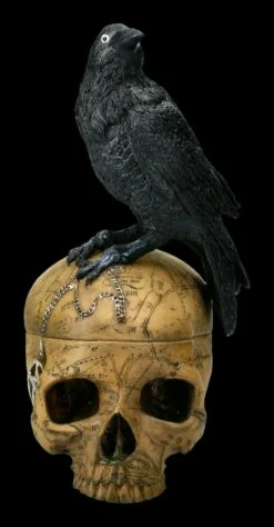 Ritual Schädel Schatulle Mit Krähe - Salems Familiar 12 Ritual Schädel Schatulle Mit Krähe - Salems Familiar -FIGUREN Verkäufe 2D ML10170 FNOW6861 L Ersatzbilder 11 1280x1280
