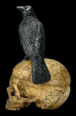 Ritual Schädel Schatulle Mit Krähe - Salems Familiar 13 Ritual Schädel Schatulle Mit Krähe - Salems Familiar -FIGUREN Verkäufe 2D ML10170 FNOW6861 L Ersatzbilder 12 1280x1280