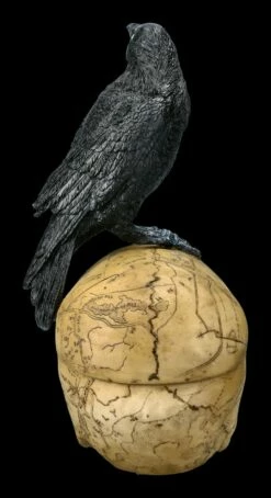 Ritual Schädel Schatulle Mit Krähe - Salems Familiar 14 Ritual Schädel Schatulle Mit Krähe - Salems Familiar -FIGUREN Verkäufe 2D ML10170 FNOW6861 L Ersatzbilder 13 1280x1280