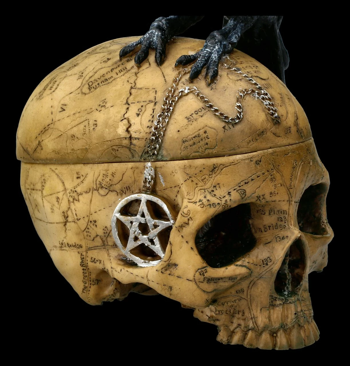 Ritual Schädel Schatulle Mit Krähe - Salems Familiar 9 Ritual Schädel Schatulle Mit Krähe - Salems Familiar – Bild 7