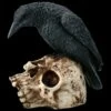 Raben Figur Sitzt Auf Totenkopf -FIGUREN Verkäufe 2D ML10218 Ersatzfotos AMI 9786 1 1280x1280