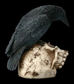 Raben Figur Sitzt Auf Totenkopf -FIGUREN Verkäufe 2D ML10218 Ersatzfotos AMI 9786 3 1280x1280