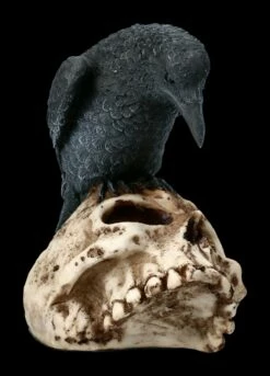 Raben Figur Sitzt Auf Totenkopf -FIGUREN Verkäufe 2D ML10218 Ersatzfotos AMI 9786 4 1280x1280