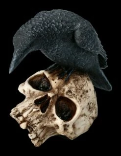 Raben Figur Sitzt Auf Totenkopf -FIGUREN Verkäufe 2D ML10218 Ersatzfotos AMI 9786 7 1280x1280