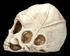 Alien Totenkopf -FIGUREN Verkäufe 2D ML10526 Ersatzbilder 3 1280x1280