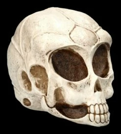 Alien Totenkopf