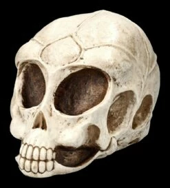 Alien Totenkopf -FIGUREN Verkäufe 2D ML10526 Ersatzbilder 7 1280x1280