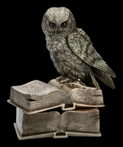 Schatulle - Eule Sitzt Auf Büchern -FIGUREN Verkäufe 2D ML11660 Schatulle Eule sitzt auf Buechern 2 1280x1280