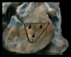 Totenkopf - Tyrannosaurus Rex - Groß 13 Totenkopf - Tyrannosaurus Rex - Groß -FIGUREN Verkäufe 2D ML11827 Totenkopf Tyrannosaurus Rex gross 3 1280x1280