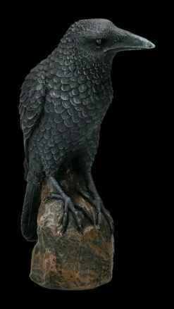 Schwarzer Rabe - Figur -FIGUREN Verkäufe 2D ML6841 Ersatzfotos NEM2775 4 1280x1280