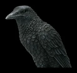 Schwarzer Rabe - Figur -FIGUREN Verkäufe 2D ML6841 Ersatzfotos NEM2775 7 1280x1280